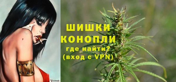 прущие грибы Армянск