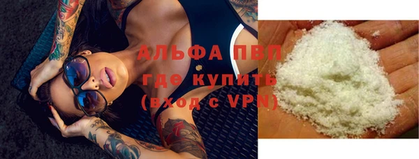 прущие грибы Армянск