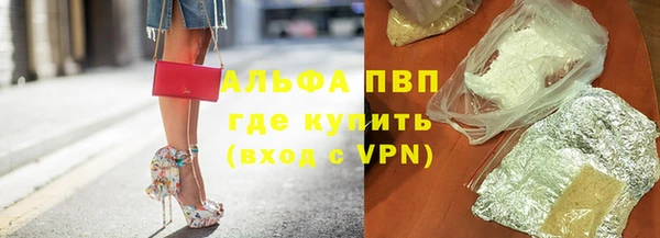 прущие грибы Армянск