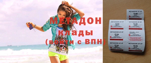 прущие грибы Армянск