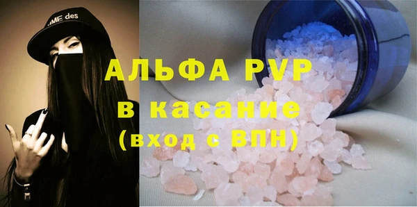 твердый Аркадак
