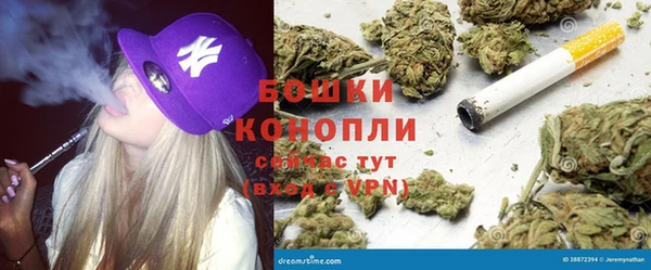 прущие грибы Армянск