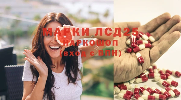 прущие грибы Армянск
