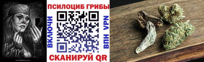 Купить закладки  Кувандык  Галлюциногенные грибы MAGIC MUSHROOMS 