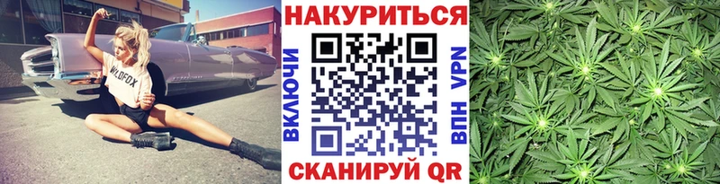 Купить закладки  Кувандык  Канабис сатива 